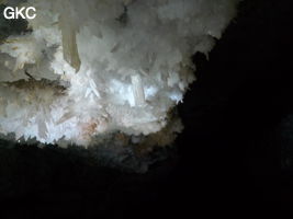 Grotte de Pixiaodong 皮硝洞 - réseau de Shuanghedong 双河洞 - (Wenquan, Suiyang 绥阳, Zunyi 遵义市, Guizhou 贵州省, Chine 中国)