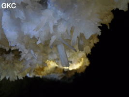 Grotte de Pixiaodong 皮硝洞 - réseau de Shuanghedong 双河洞 - (Wenquan, Suiyang 绥阳, Zunyi 遵义市, Guizhou 贵州省, Chine 中国)