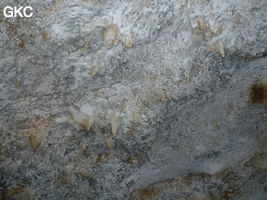 Grotte de Pixiaodong 皮硝洞 - réseau de Shuanghedong 双河洞 - (Wenquan, Suiyang 绥阳, Zunyi 遵义市, Guizhou 贵州省, Chine 中国)