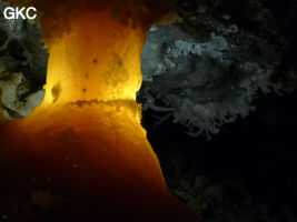 Grotte de Pixiaodong 皮硝洞 - réseau de Shuanghedong 双河洞 - (Wenquan, Suiyang 绥阳, Zunyi 遵义市, Guizhou 贵州省, Chine 中国)