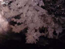 Grotte de Pixiaodong 皮硝洞 - réseau de Shuanghedong 双河洞 - (Wenquan, Suiyang 绥阳, Zunyi 遵义市, Guizhou 贵州省, Chine 中国)