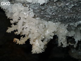 Grotte de Pixiaodong 皮硝洞 - réseau de Shuanghedong 双河洞 - (Wenquan, Suiyang 绥阳, Zunyi 遵义市, Guizhou 贵州省, Chine 中国)