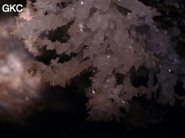 Grotte de Pixiaodong 皮硝洞 - réseau de Shuanghedong 双河洞 - (Wenquan, Suiyang 绥阳, Zunyi 遵义市, Guizhou 贵州省, Chine 中国)