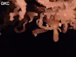 Grotte de Pixiaodong 皮硝洞 - réseau de Shuanghedong 双河洞 - (Wenquan, Suiyang 绥阳, Zunyi 遵义市, Guizhou 贵州省, Chine 中国)