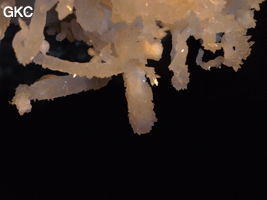 Grotte de Pixiaodong 皮硝洞 - réseau de Shuanghedong 双河洞 - (Wenquan, Suiyang 绥阳, Zunyi 遵义市, Guizhou 贵州省, Chine 中国)