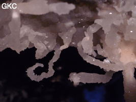 Grotte de Pixiaodong 皮硝洞 - réseau de Shuanghedong 双河洞 - (Wenquan, Suiyang 绥阳, Zunyi 遵义市, Guizhou 贵州省, Chine 中国)