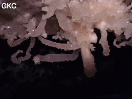 Grotte de Pixiaodong 皮硝洞 - réseau de Shuanghedong 双河洞 - (Wenquan, Suiyang 绥阳, Zunyi 遵义市, Guizhou 贵州省, Chine 中国)