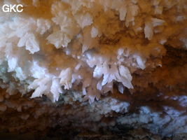 Grotte de Pixiaodong 皮硝洞 - réseau de Shuanghedong 双河洞 - (Wenquan, Suiyang 绥阳, Zunyi 遵义市, Guizhou 贵州省, Chine 中国)