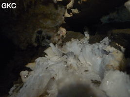 Grotte de Pixiaodong 皮硝洞 - réseau de Shuanghedong 双河洞 - (Wenquan, Suiyang 绥阳, Zunyi 遵义市, Guizhou 贵州省, Chine 中国)