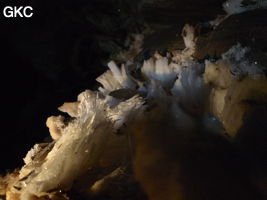 Grotte de Pixiaodong 皮硝洞 - réseau de Shuanghedong 双河洞 - (Wenquan, Suiyang 绥阳, Zunyi 遵义市, Guizhou 贵州省, Chine 中国)
