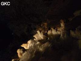 Grotte de Pixiaodong 皮硝洞 - réseau de Shuanghedong 双河洞 - (Wenquan, Suiyang 绥阳, Zunyi 遵义市, Guizhou 贵州省, Chine 中国)
