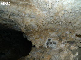 Grotte de Pixiaodong 皮硝洞 - réseau de Shuanghedong 双河洞 - (Wenquan, Suiyang 绥阳, Zunyi 遵义市, Guizhou 贵州省, Chine 中国)