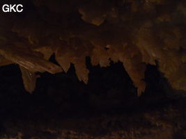 Grotte de Pixiaodong 皮硝洞 - réseau de Shuanghedong 双河洞 - (Wenquan, Suiyang 绥阳, Zunyi 遵义市, Guizhou 贵州省, Chine 中国)