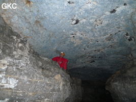 Le plafond bleu (croûtes de gypse et célestite) dans la Grotte de Pixiaodong 皮硝洞 - réseau de Shuanghedong 双河洞 - (Wenquan, Suiyang 绥阳, Zunyi 遵义市, Guizhou 贵州省, Chine 中国)