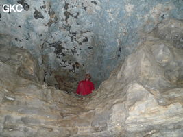 Le plafond bleu (croûtes de gypse et célestite) dans la Grotte de Pixiaodong 皮硝洞 - réseau de Shuanghedong 双河洞 - (Wenquan, Suiyang 绥阳, Zunyi 遵义市, Guizhou 贵州省, Chine 中国)