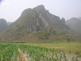 La grotte XIANGSHUI  DONG 响水洞 ( Grotte de la voix de la rivière ) s'ouvre par un  porche de belle taille (largeur 40 m, hauteur 25 m) qui permet d'accéder à la rivière de Xiao Jing. (Xiao Jing , Qiannan 黔南, Luodian罗甸, Guizhou 贵州省, Chine)