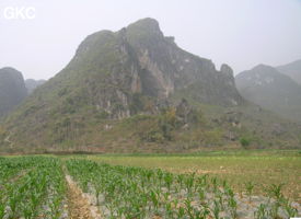 La grotte XIANGSHUI  DONG 响水洞 ( Grotte de la voix de la rivière ) s'ouvre par un  porche de belle taille (largeur 40 m, hauteur 25 m) qui permet d'accéder à la rivière de Xiao Jing. (Xiao Jing , Qiannan 黔南, Luodian罗甸, Guizhou 贵州省, Chine)