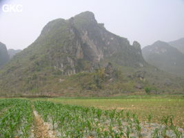 La grotte XIANGSHUI  DONG 响水洞 ( Grotte de la voix de la rivière ) s'ouvre par un  porche de belle taille (largeur 40 m, hauteur 25 m) qui permet d'accéder à la rivière de Xiao Jing. (Xiao Jing , Qiannan 黔南, Luodian罗甸, Guizhou 贵州省, Chine)