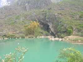 Dajingdongqun