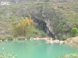 Le lac d'entrée de Dajing dong Qun 大井洞. Cette grosse résurgence, située sur le côté sud de l'anticlinal (EW) de Chachang, se développe dans les calcaires bioclastiques sparitiques grossiers gris en bancs épais du T2xm. Le long de la rivière souterraine se trouve une série d'effondrements. Le système hydrologique  aérien et hypogé a un gradient moyen de 0,87 %. Avec une percée de 15 km, sa dernière partie, souterraine, a un gradient moyen  de 2,6 %. La rivière principale s'étire sur  85 km et le bassin versant s'étend sur 950 km2. Le débit d'étiage de cette résurgence est de 1,843 m3/s, son débit moyen annuel de 12 m3/s . (Dajing 大井, Qiannan 黔南, Luodian罗甸, Guizhou 贵州省, Chine)