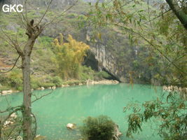 Le lac d'entrée de Dajing dong Qun 大井洞. Cette grosse résurgence, située sur le côté sud de l'anticlinal (EW) de Chachang, se développe dans les calcaires bioclastiques sparitiques grossiers gris en bancs épais du T2xm. Le long de la rivière souterraine se trouve une série d'effondrements. Le système hydrologique  aérien et hypogé a un gradient moyen de 0,87 %. Avec une percée de 15 km, sa dernière partie, souterraine, a un gradient moyen  de 2,6 %. La rivière principale s'étire sur  85 km et le bassin versant s'étend sur 950 km2. Le débit d'étiage de cette résurgence est de 1,843 m3/s, son débit moyen annuel de 12 m3/s . (Dajing 大井, Qiannan 黔南, Luodian罗甸, Guizhou 贵州省, Chine)