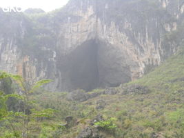 La grotte XIANGSHUI  DONG 响水洞 ( Grotte de la voix de la rivière ) s'ouvre par un  porche de belle taille (largeur 40 m, hauteur 25 m) qui permet d'accéder à la rivière de Xiao Jing. (Xiao Jing , Qiannan 黔南, Luodian罗甸, Guizhou 贵州省, Chine)