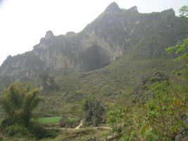 La grotte XIANGSHUI  DONG 响水洞 ( Grotte de la voix de la rivière ) s'ouvre par un  porche de belle taille (largeur 40 m, hauteur 25 m) qui permet d'accéder à la rivière de Xiao Jing. (Xiao Jing , Qiannan 黔南, Luodian罗甸, Guizhou 贵州省, Chine)