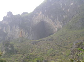 La grotte XIANGSHUI  DONG 响水洞 ( Grotte de la voix de la rivière ) s'ouvre par un  porche de belle taille (largeur 40 m, hauteur 25 m) qui permet d'accéder à la rivière de Xiao Jing. (Xiao Jing , Qiannan 黔南, Luodian罗甸, Guizhou 贵州省, Chine)