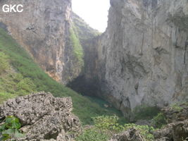 Dans la paroi est de l'énorme effondrement (un Tiankeng de pente dégénéré) de 200 m de diamètre, un gros porche perché forme un pont-naturel. Il domine plan d'eau regard sur la rivière souterraine. Grotte de Dajing dong Qun 大井洞. (Dajing 大井, Qiannan 黔南, Luodian罗甸, Guizhou 贵州省, Chine)