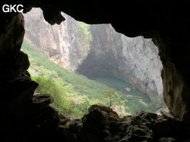 Dans l'énorme effondrement (un Tiankeng de pente dégénéré) de 200 m de diamètre. Vu d'une des grottes abri de la paroi ouest : le plan d'eau regard sur la rivière souterraine, occupe le coin est. Grotte de Dajing dong Qun 大井洞. (Dajing 大井, Qiannan 黔南, Luodian罗甸, Guizhou 贵州省, Chine)