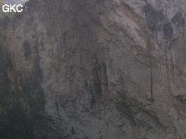 Détail de la paroi est de l'énorme effondrement (un Tiankeng de pente dégénéré) de 200 m de diamètre. Grotte de Dajing dong Qun 大井洞. (Dajing 大井, Qiannan 黔南, Luodian罗甸, Guizhou 贵州省, Chine)