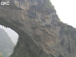 Détail de la paroi est de l'énorme effondrement (un Tiankeng de pente dégénéré) de 200 m de diamètre. Grotte de Dajing dong Qun 大井洞. (Dajing 大井, Qiannan 黔南, Luodian罗甸, Guizhou 贵州省, Chine)