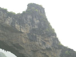 Détail de la paroi est de l'énorme effondrement (un Tiankeng de pente dégénéré) de 200 m de diamètre. Grotte de Dajing dong Qun 大井洞. (Dajing 大井, Qiannan 黔南, Luodian罗甸, Guizhou 贵州省, Chine)