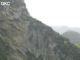 Détail de la paroi est de l'énorme effondrement (un Tiankeng de pente dégénéré) de 200 m de diamètre. Grotte de Dajing dong Qun 大井洞. (Dajing 大井, Qiannan 黔南, Luodian罗甸, Guizhou 贵州省, Chine)