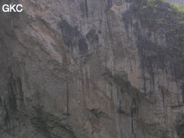 Dajingdongqun