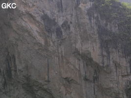 Détail de la paroi est de l'énorme effondrement (un Tiankeng de pente dégénéré) de 200 m de diamètre. Grotte de Dajing dong Qun 大井洞. (Dajing 大井, Qiannan 黔南, Luodian罗甸, Guizhou 贵州省, Chine)