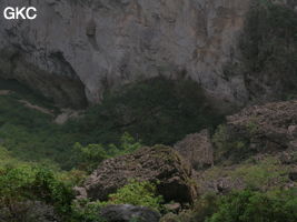 Dans l'énorme effondrement (un Tiankeng de pente dégénéré) de 200 m de diamètre. Un plan d'eau, occupe le coin est,  il correspond à un regard sur la résurgence, comme l'indique un lent mouvement tourbillonnaire. De nombreux indices sont la preuve d'importantes fluctuations de la nappe, notamment un niveau bien marqué sur la paroi, à plus de dix mètres au-dessus du plan d'eau. Grotte de Dajing dong Qun 大井洞. (Dajing 大井, Qiannan 黔南, Luodian罗甸, Guizhou 贵州省, Chine)