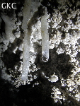 Petite fistuleuse dans la Grotte de Hetaopingdong - 核桃坪洞 (Wenquan, Suiyang 绥阳, Zunyi Shi 遵义市, Guizhou 贵州省, Chine)