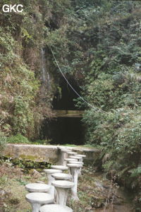 Xiangshuidong