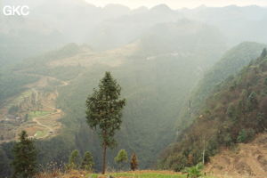 La doline de Longtanzishuidong 龙潭子水洞  un des points clefs du réseau de Shuanghedongqun (Suiyang 绥阳, Zunyi 遵义市, Guizhou 贵州省, Chine).