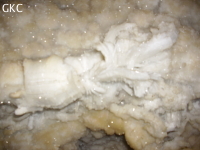Grotte de Pixiaodong 皮硝洞 - réseau de Shuanghedong 双河洞 - (Wenquan, Suiyang 绥阳, Zunyi 遵义市, Guizhou 贵州省, Chine 中国).
