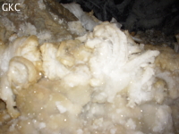 Grotte de Pixiaodong 皮硝洞 - réseau de Shuanghedong 双河洞 - (Wenquan, Suiyang 绥阳, Zunyi 遵义市, Guizhou 贵州省, Chine 中国).