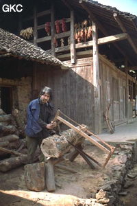 Dans la campagne du synclinal de Yanziping, le scieur de bois inlassable, s'attaque à ce morceau de tronc. (Hefeng, Hubei)