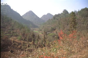 Paysage typique de quifeng dans les hauts du synclinal de Yanziping. (Hefeng/Hubei)