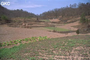 Sur le sentier qui mène à Tiankengcao; paysage agraire d'automne, champs labourés, quelques choux chinois . (Changpuxi, Wufeng, Hubei)