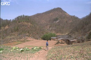 Après un petit col apercevons une ferme en pisé avec son bosquet de bambou. Nous sommes maintenant tout proche des entrées de Tiankengcao qui se situent dans le coin gauche de la dépression . (Changpuxi, Wufeng, Hubei)