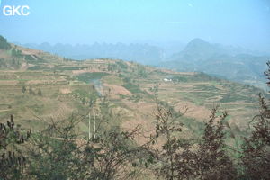 Mosaïque de cultures d'hivers sur les terres rouges du trias moyen, sur le bas flanc nord ouest du synclinal de Yanziping. (Hefeng,Hubei)