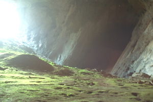 Dazhaidong