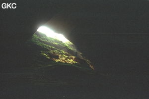 Dazhaidong