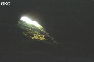 Dazhaidong